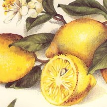 Yellow Lemons Italian Paper ~ Tassotti